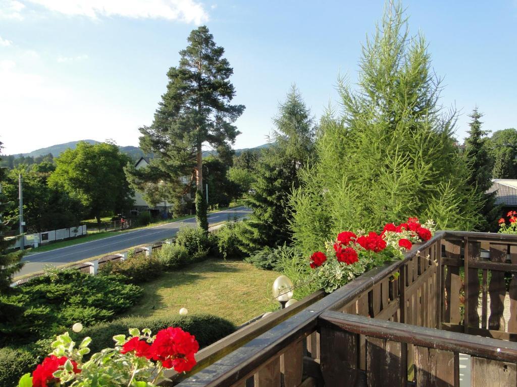Villa Zerotin Penzion Bed & Breakfast Velke Losiny Luaran gambar